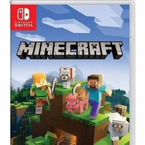 Nintendo switch mind craft